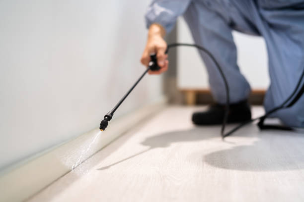 Licensed Mosquito Control service in Hillsboro, WI - Show Me Pest Control