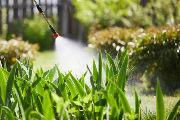 24/7 Emergency Mosquito Control experts in Hillsboro, WI